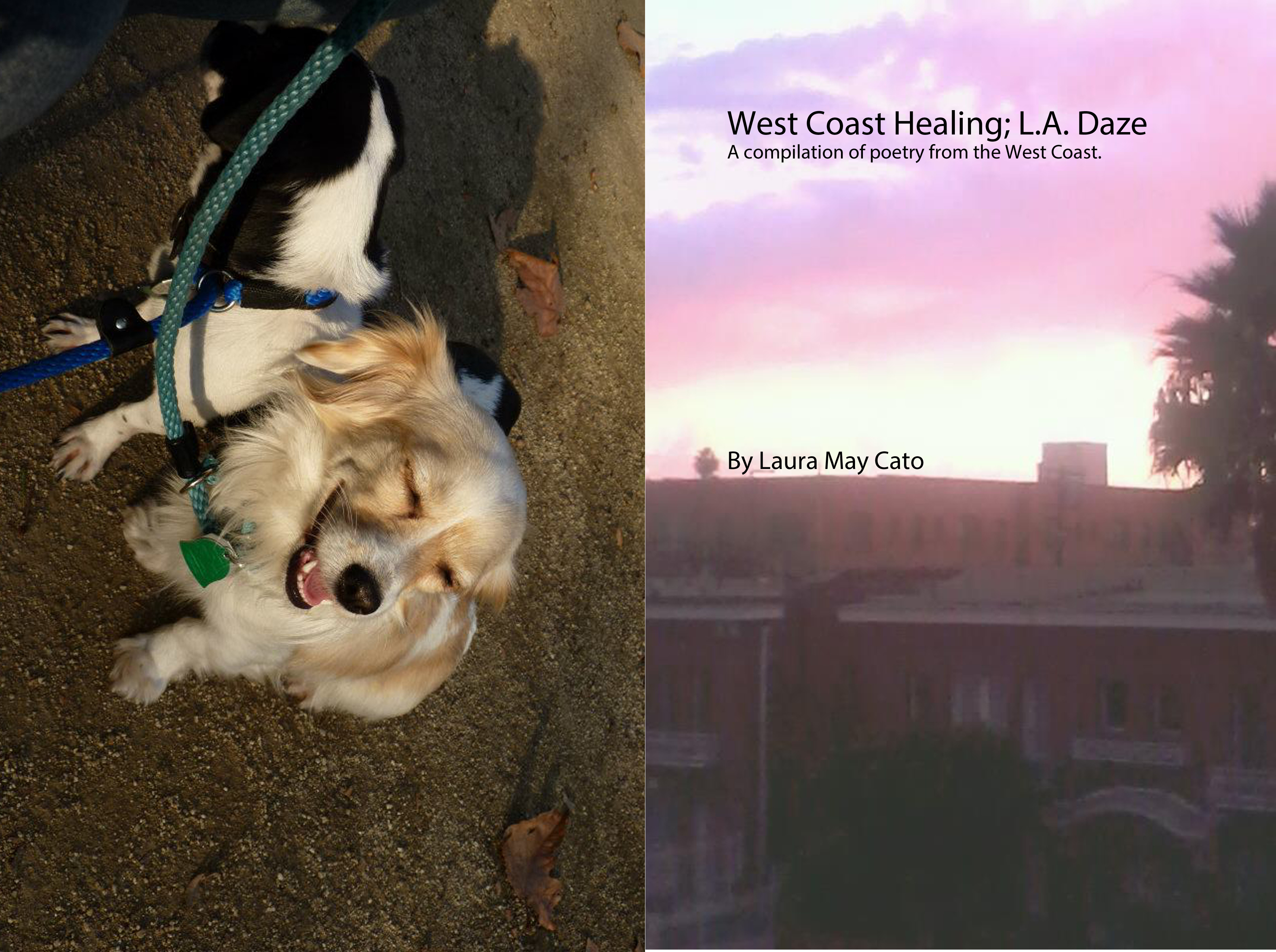 West Coast Healing: L.A. Daze – January 2013